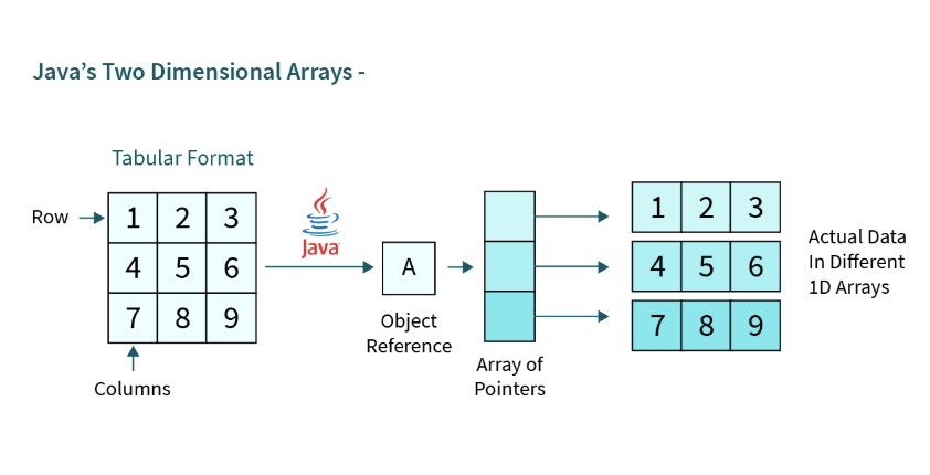 💻 CSC1003 Assignment2 二维数组
