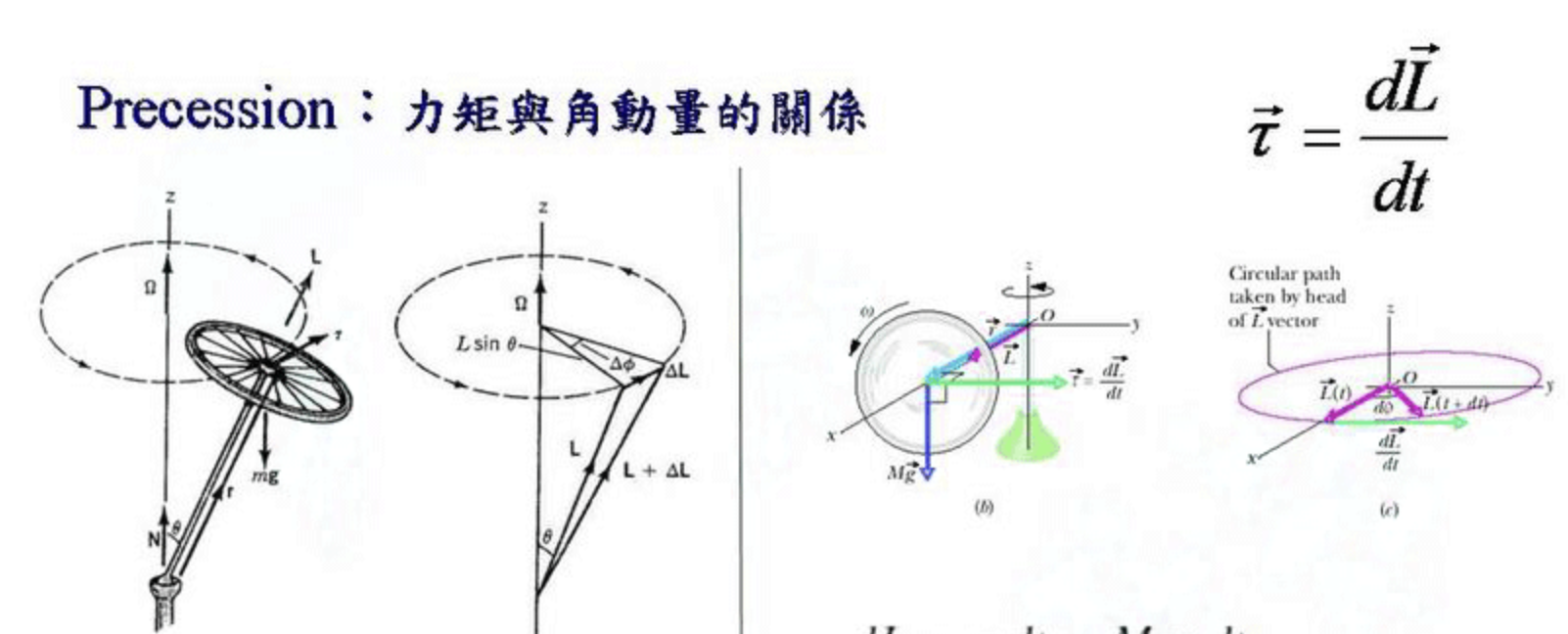 ⚛️ PHY1001 LEC10-15 旋转运动学